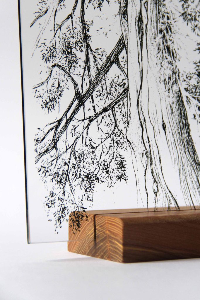 sequioa_serigraphie_detail-adelie_payen