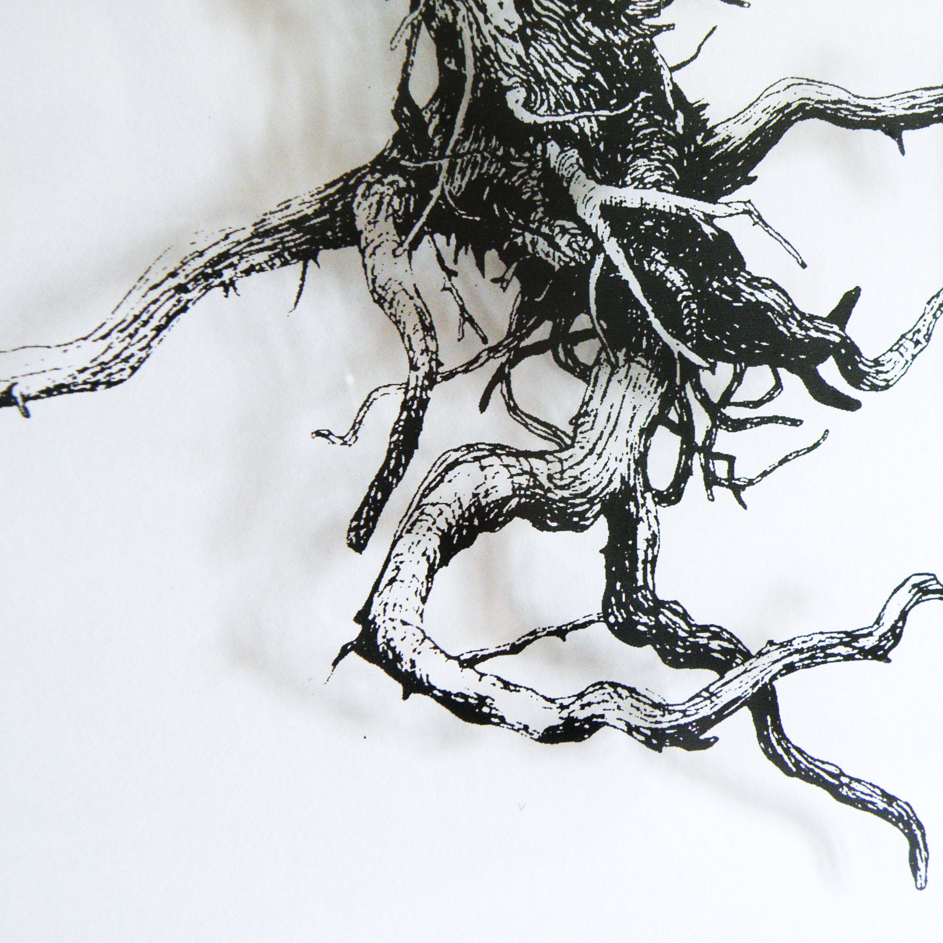 Racine-detail-serigraphie-adelie-payen