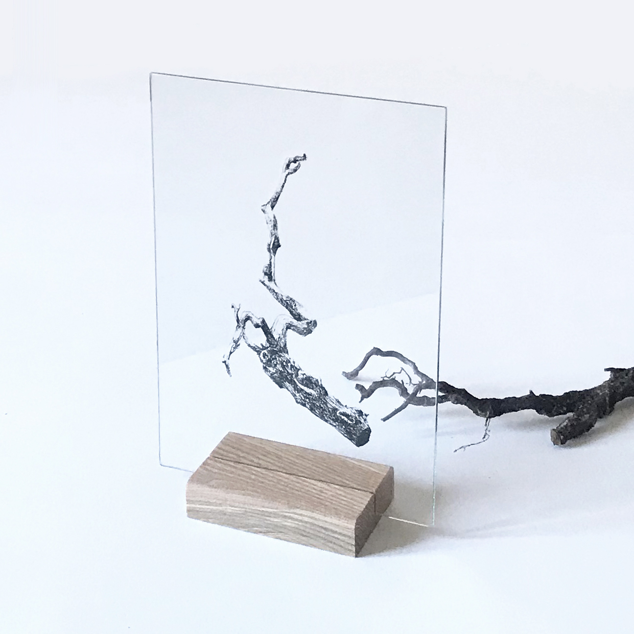 racine-1-serigraphie-sur-verre-adelie-payen
